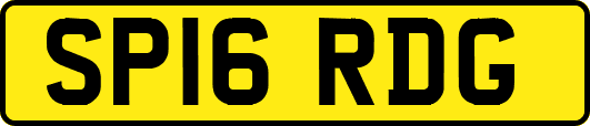 SP16RDG