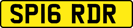 SP16RDR