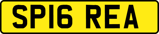 SP16REA