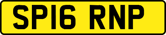 SP16RNP
