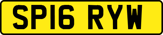 SP16RYW