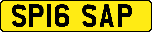 SP16SAP