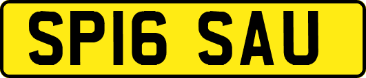 SP16SAU