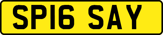 SP16SAY