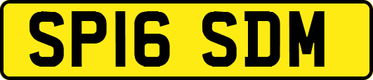 SP16SDM