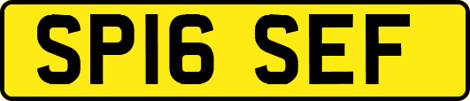 SP16SEF