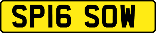 SP16SOW