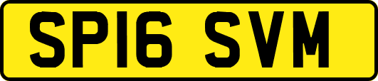 SP16SVM
