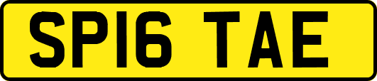 SP16TAE