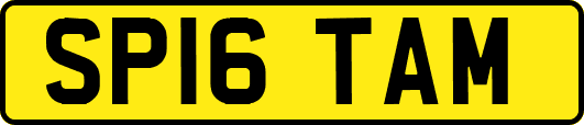 SP16TAM