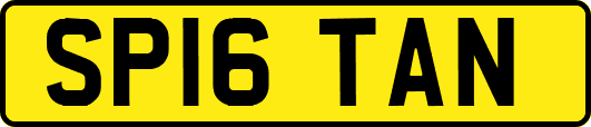 SP16TAN