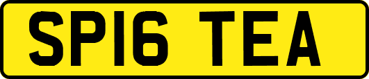 SP16TEA