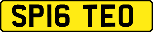SP16TEO