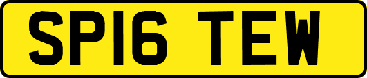 SP16TEW