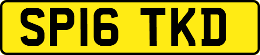 SP16TKD
