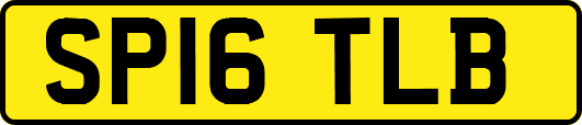 SP16TLB