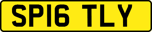 SP16TLY