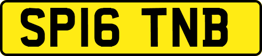 SP16TNB