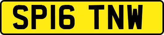 SP16TNW