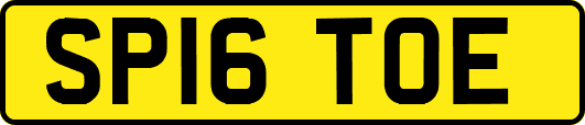 SP16TOE