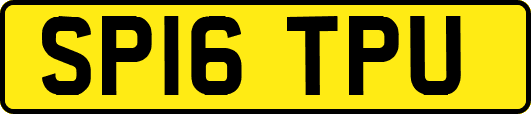 SP16TPU