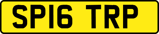 SP16TRP