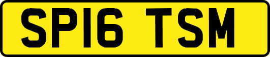 SP16TSM