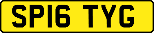 SP16TYG