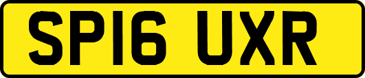 SP16UXR