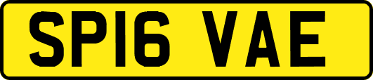 SP16VAE
