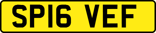 SP16VEF