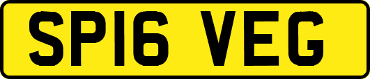 SP16VEG