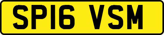 SP16VSM