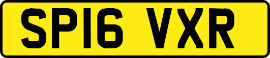 SP16VXR
