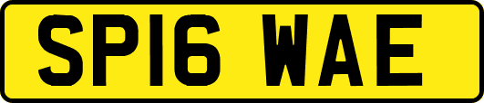 SP16WAE