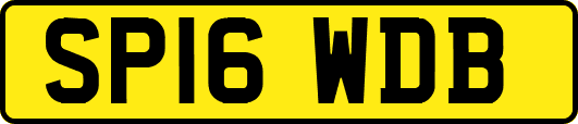 SP16WDB
