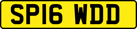 SP16WDD