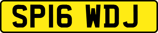 SP16WDJ