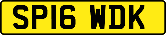 SP16WDK