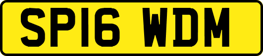 SP16WDM