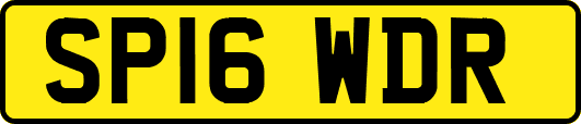 SP16WDR