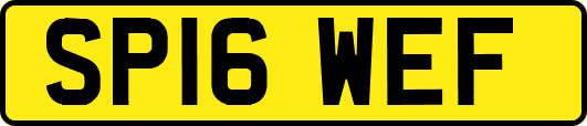 SP16WEF