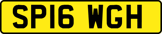 SP16WGH