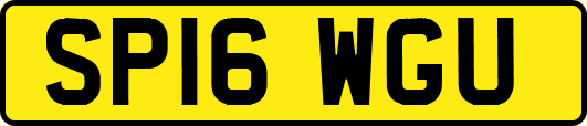 SP16WGU