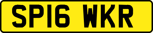 SP16WKR