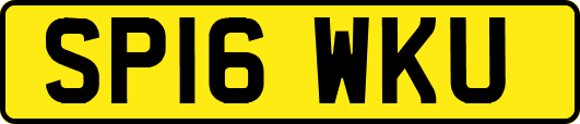 SP16WKU