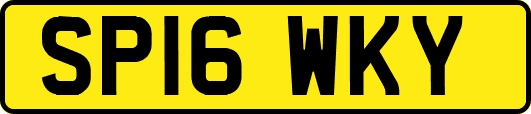 SP16WKY