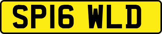 SP16WLD