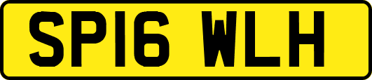 SP16WLH