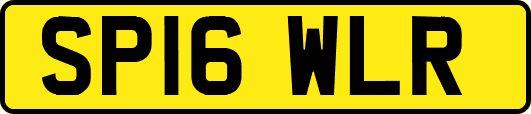 SP16WLR